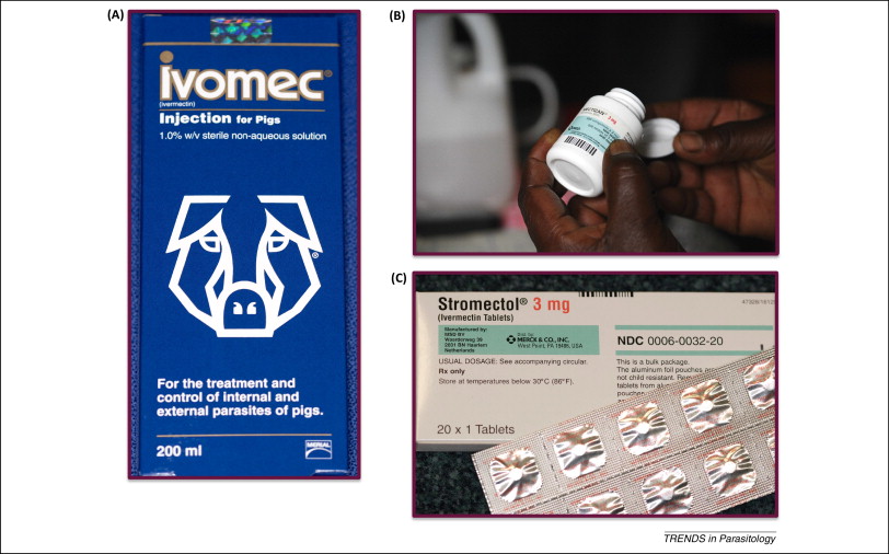 Stromectol msd france