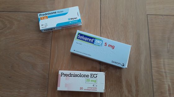 Prednisolone 20mg En Ligne