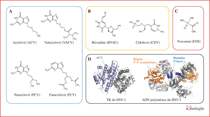 Acheter Du Valacyclovir