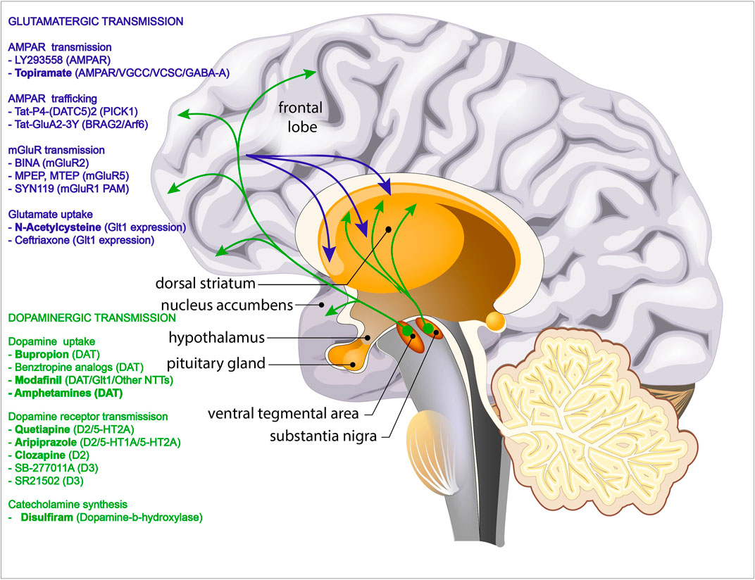 Acheter Modafinil En Europe