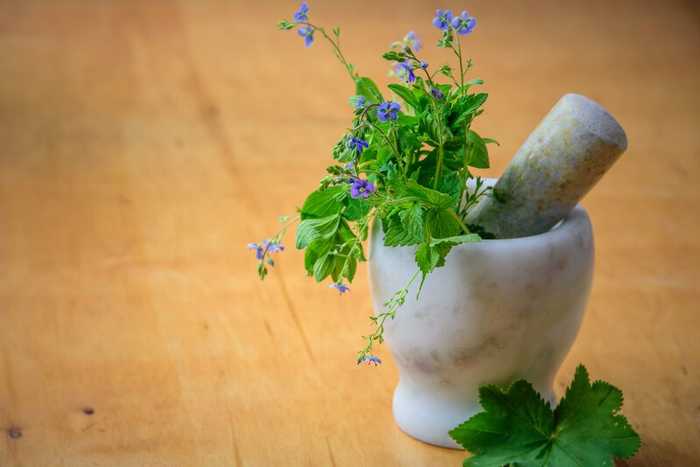 Acheter Viagra Naturel