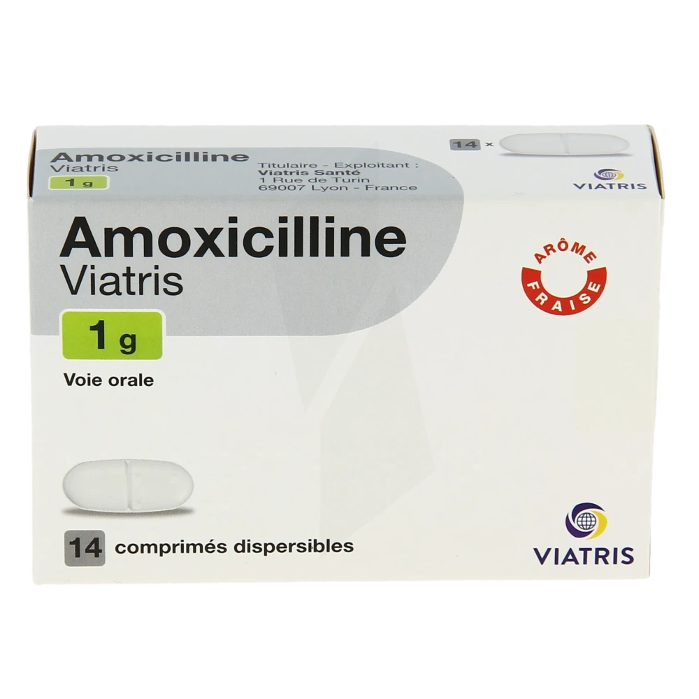 Amoxicilline 1g Commander