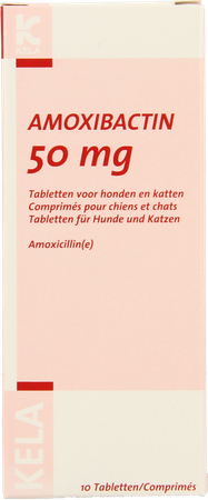 Amoxicilline Chat Prix