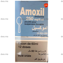 Amoxil 1g Prix