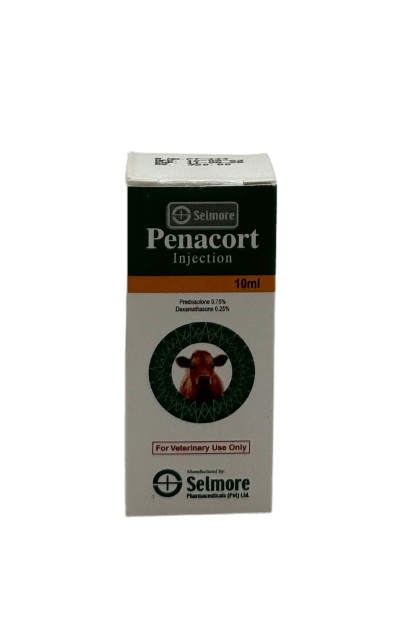 Prednisolone 20 Mg Kela Prix