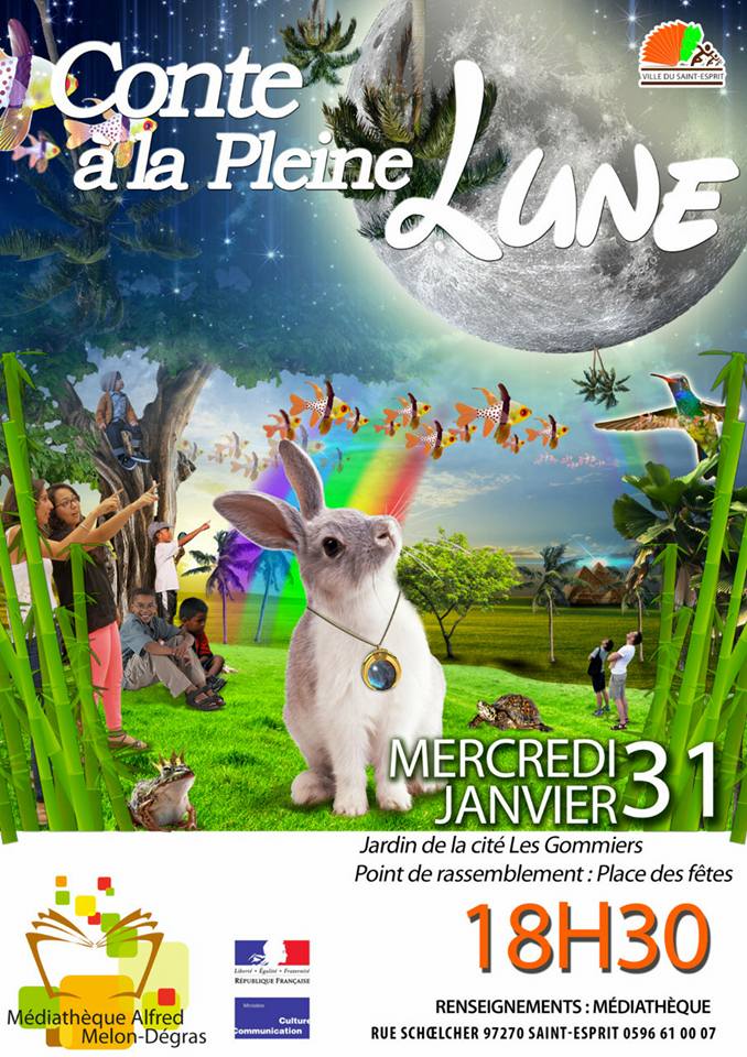 Prix Du Erectafil