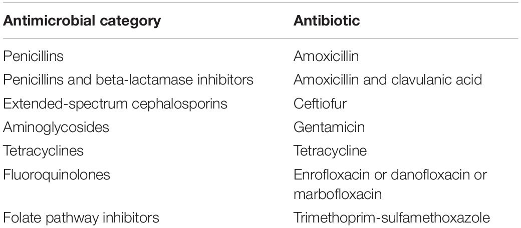 Amoxicillin Clavulanic Acid Online