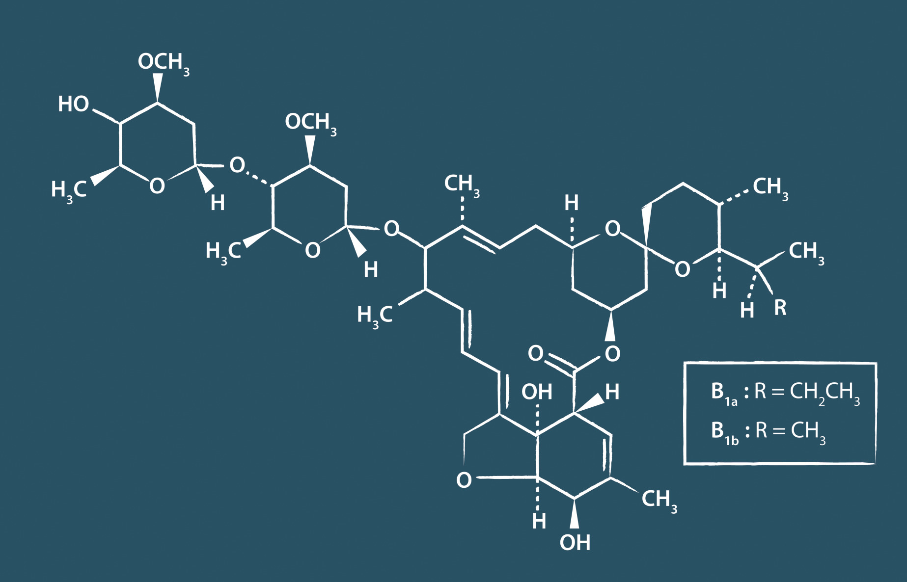 stromectol 3 mg comprime ivermectine