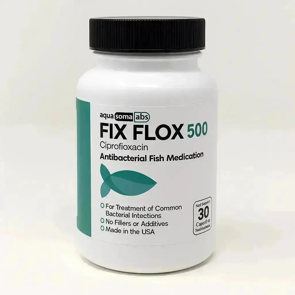 Ciprofloxacin 500 mg 2x1