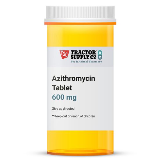 Commander azithromycin