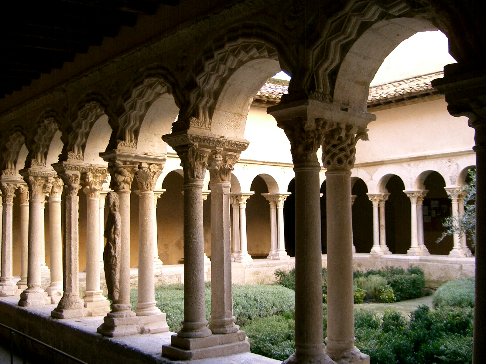 Commander Levitra
