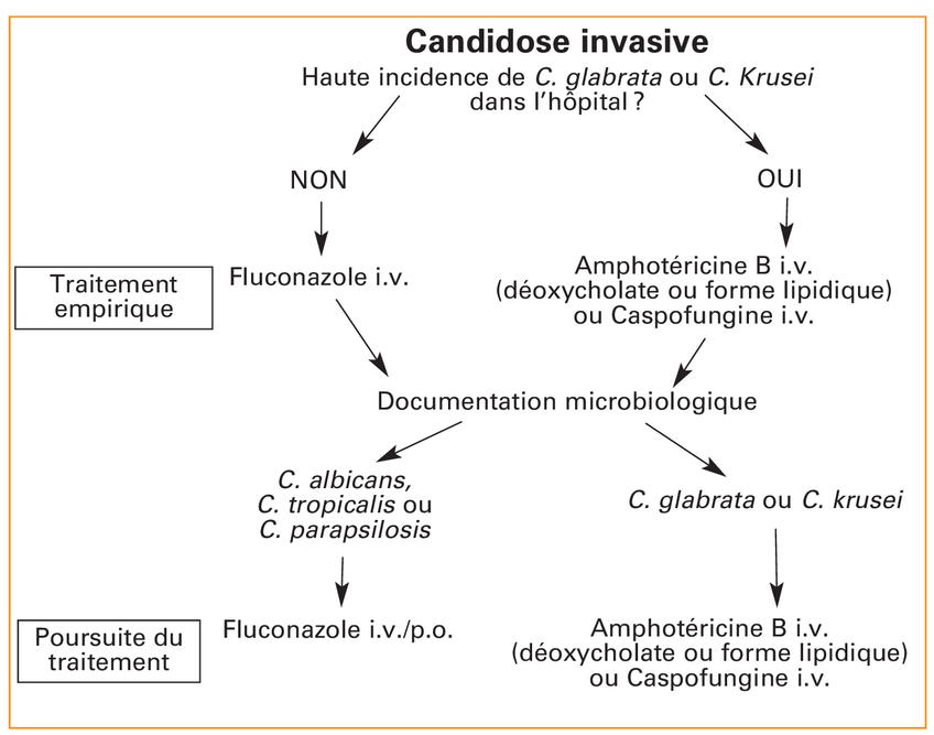 Coût Du Fluconazole