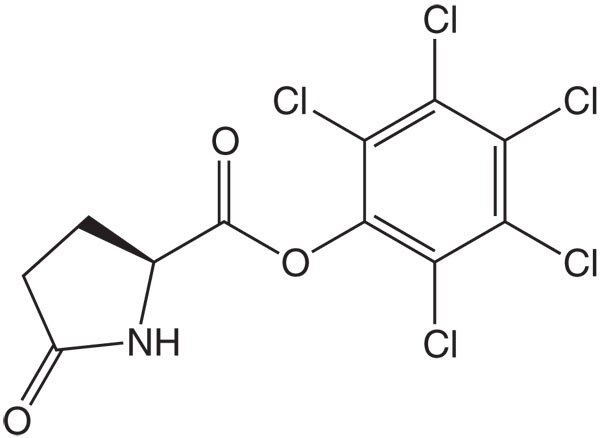 Commander Ciprofloxacin