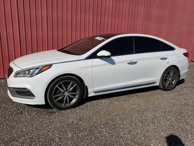 sonata achat