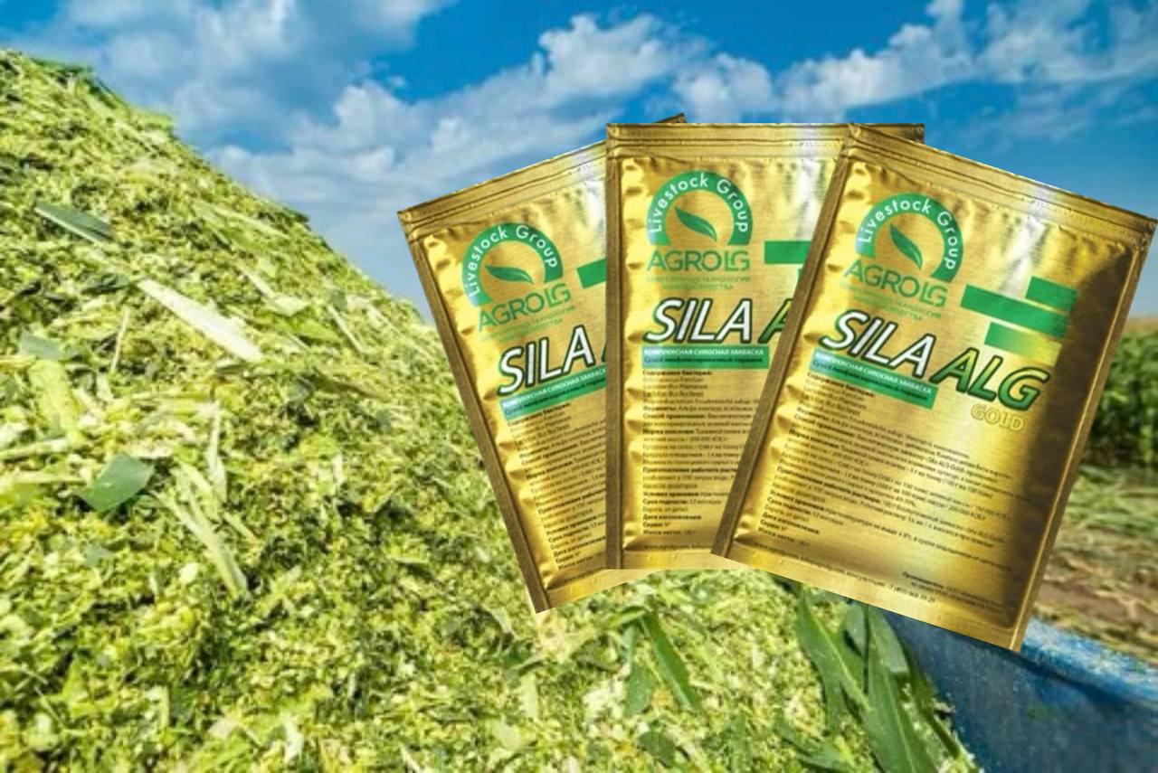 Silagra 130mg online