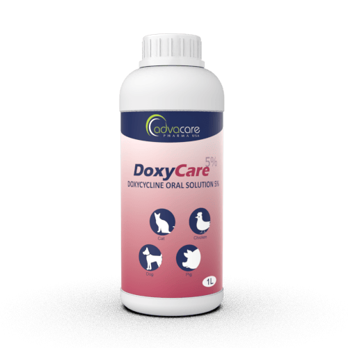 Doxycycline Prix Pharmacie