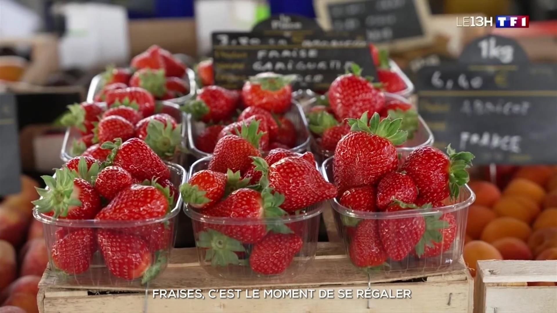 Forzest Le Moins Cher