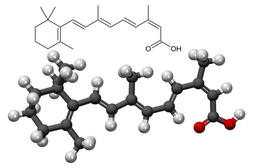 Isotretinoin En Ligne