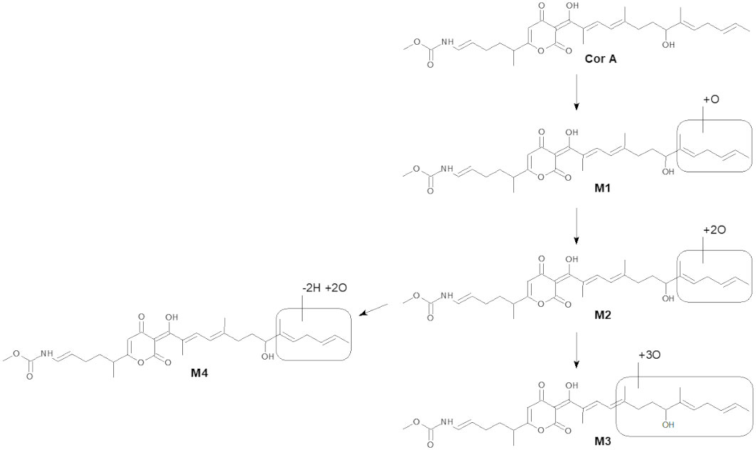 Ivermectin 6 mg/ml