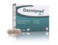 Prednisolone France Acheter