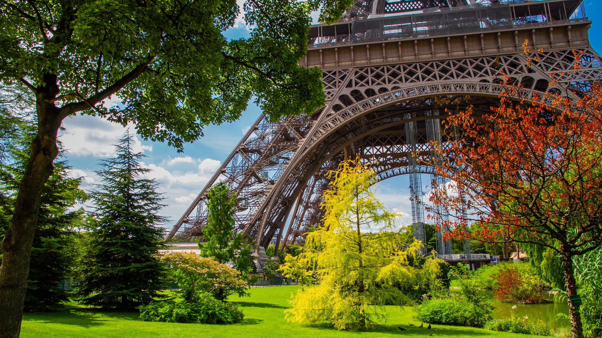 Fildena france
