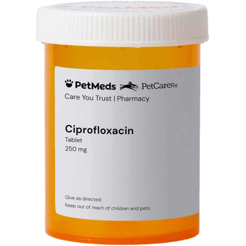 Gen Cipro 250 Mg