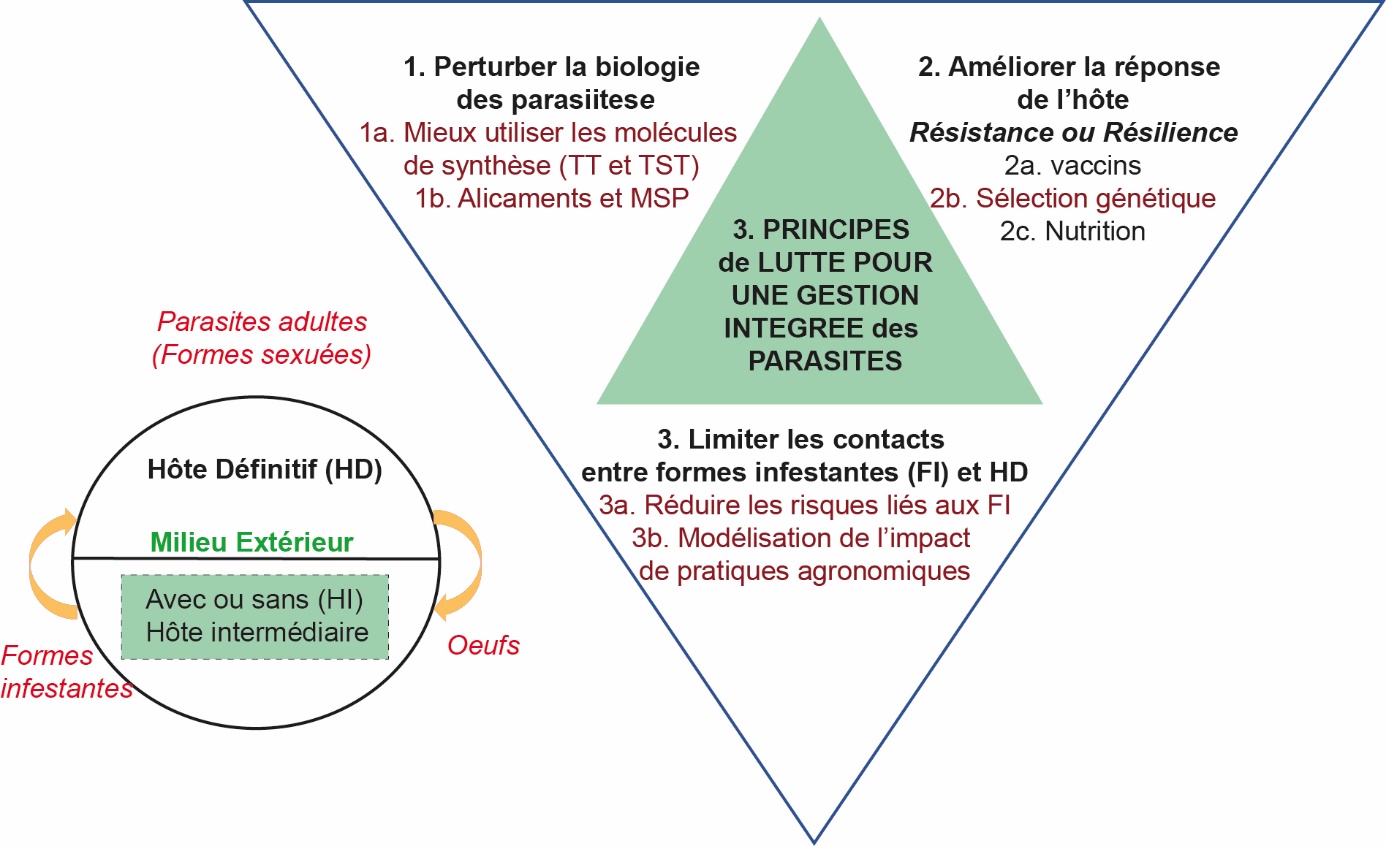 Ivermectin Générique