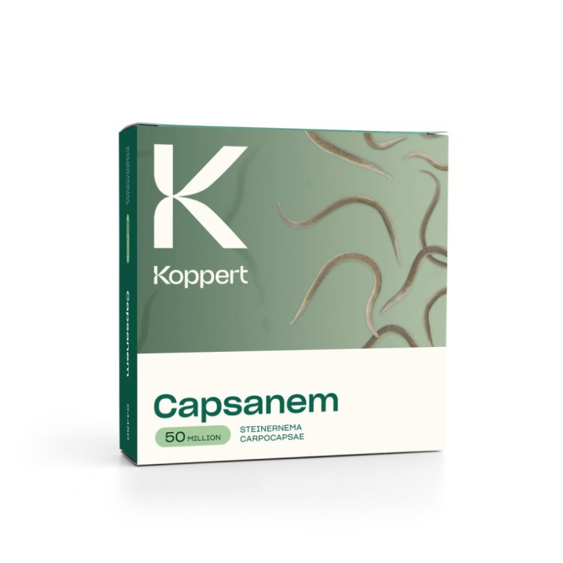 Kamagra 100mg Prix