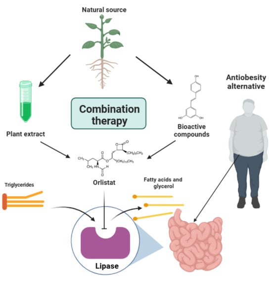 Ordre Orlistat
