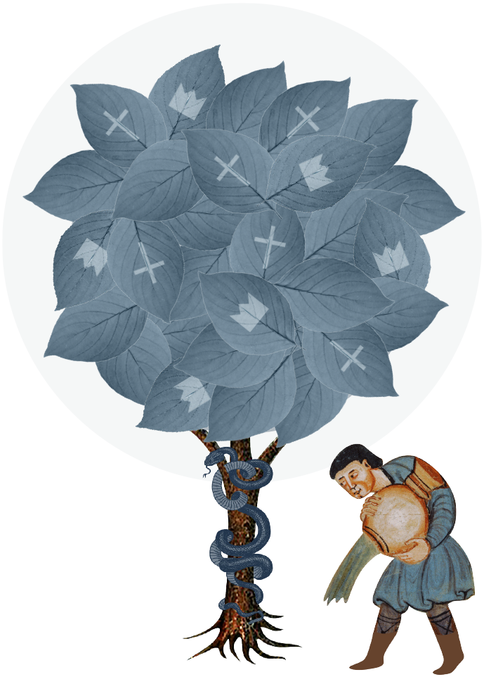 Ordre sildalis