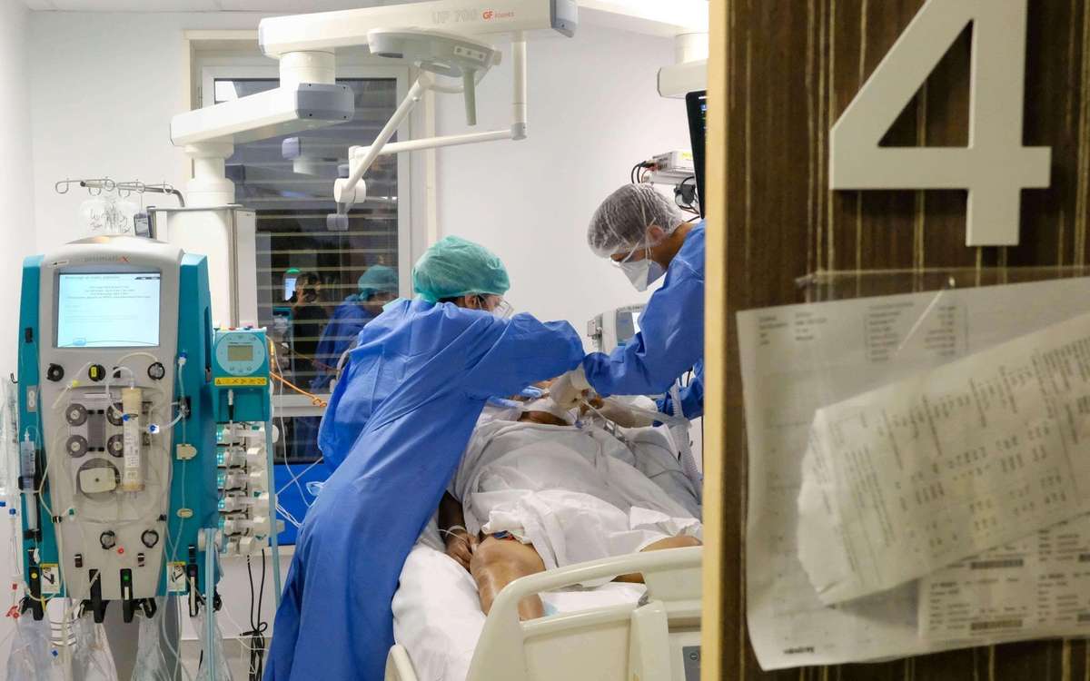 Prednisolone Le Moins Cher