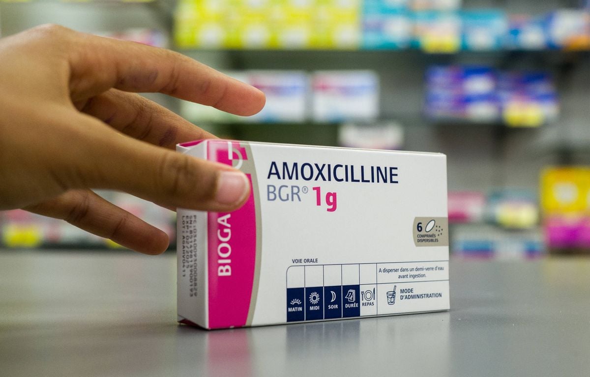 Prix Amoxicilline