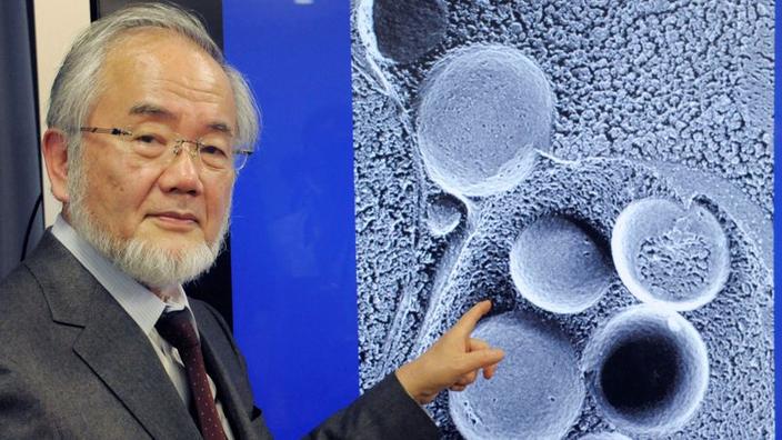 prix nobel viagra