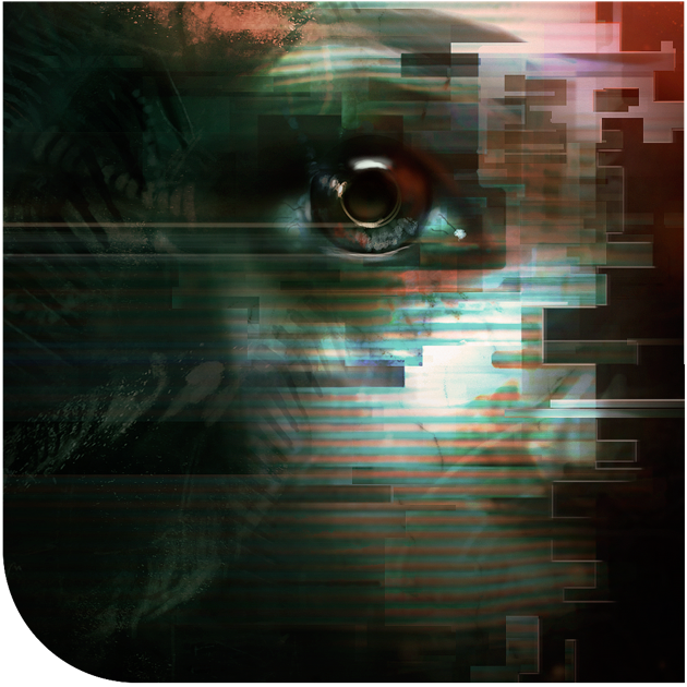 Prix Pour Soma