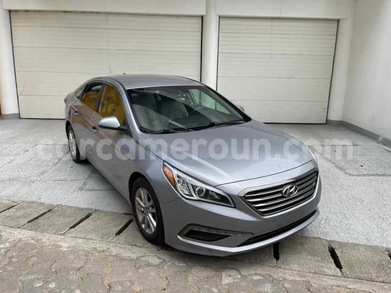 Prix pour sonata