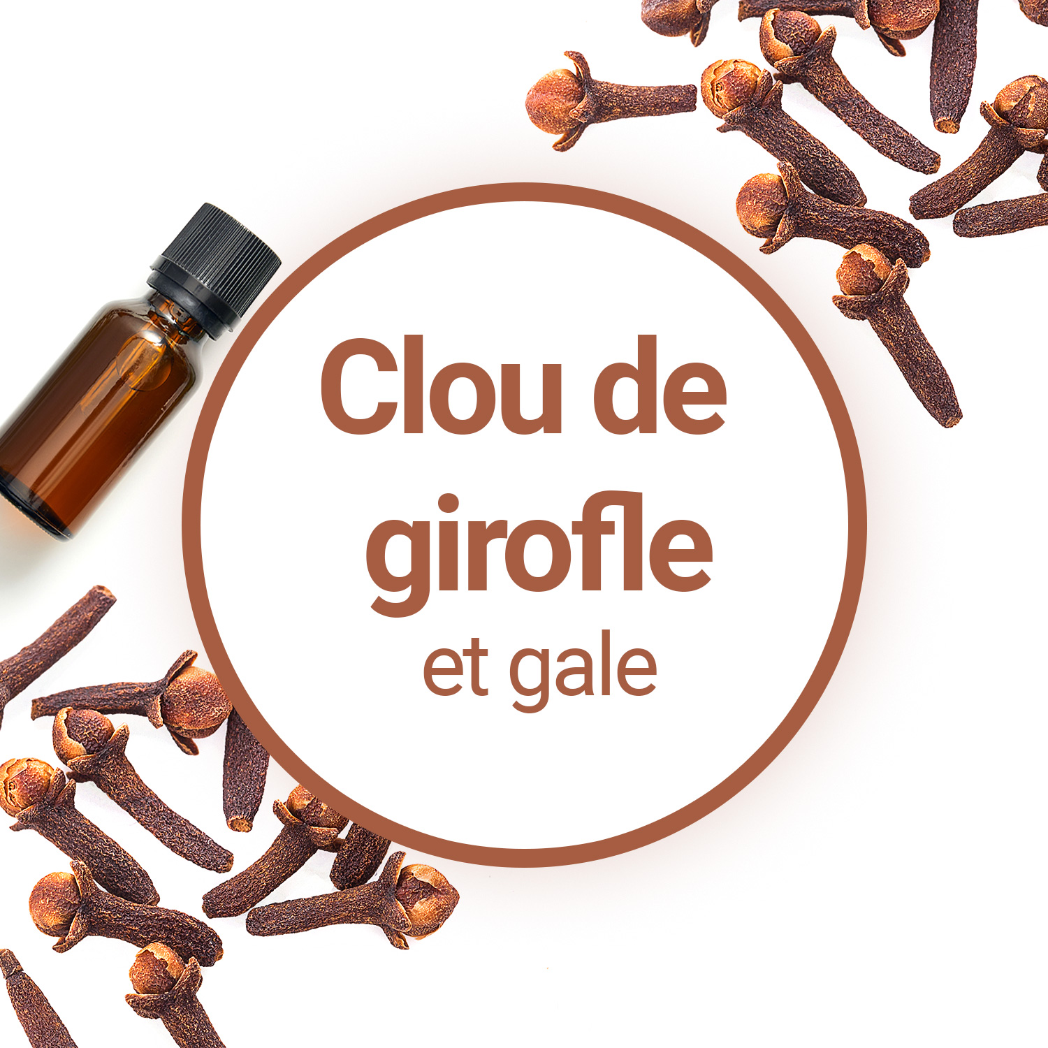 prix stromectol gale