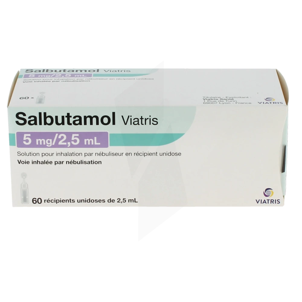 Salbutamol Aerosol Prix