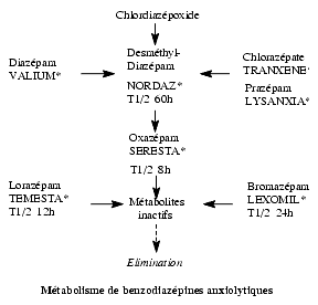Sonata 10mg