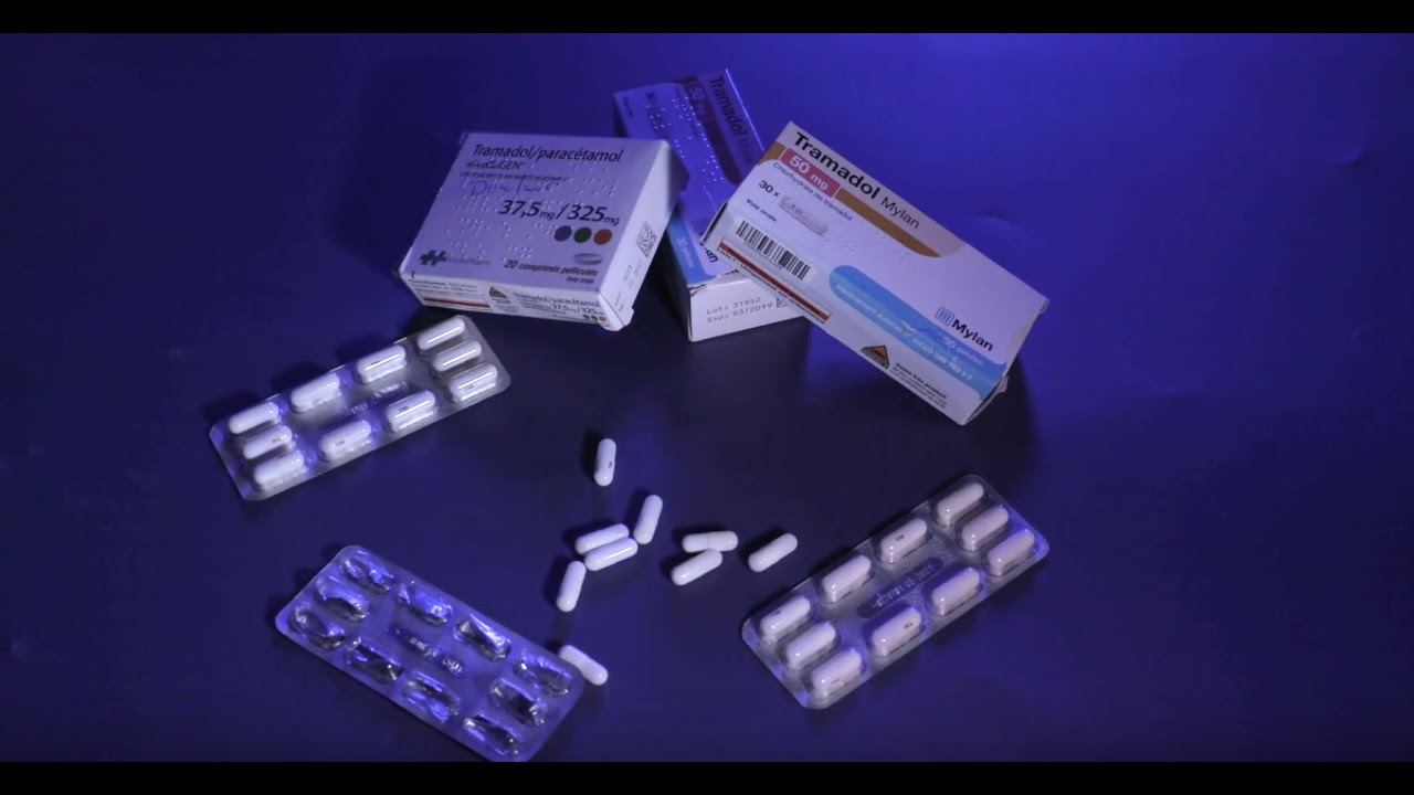 Tramadol Chien Prix