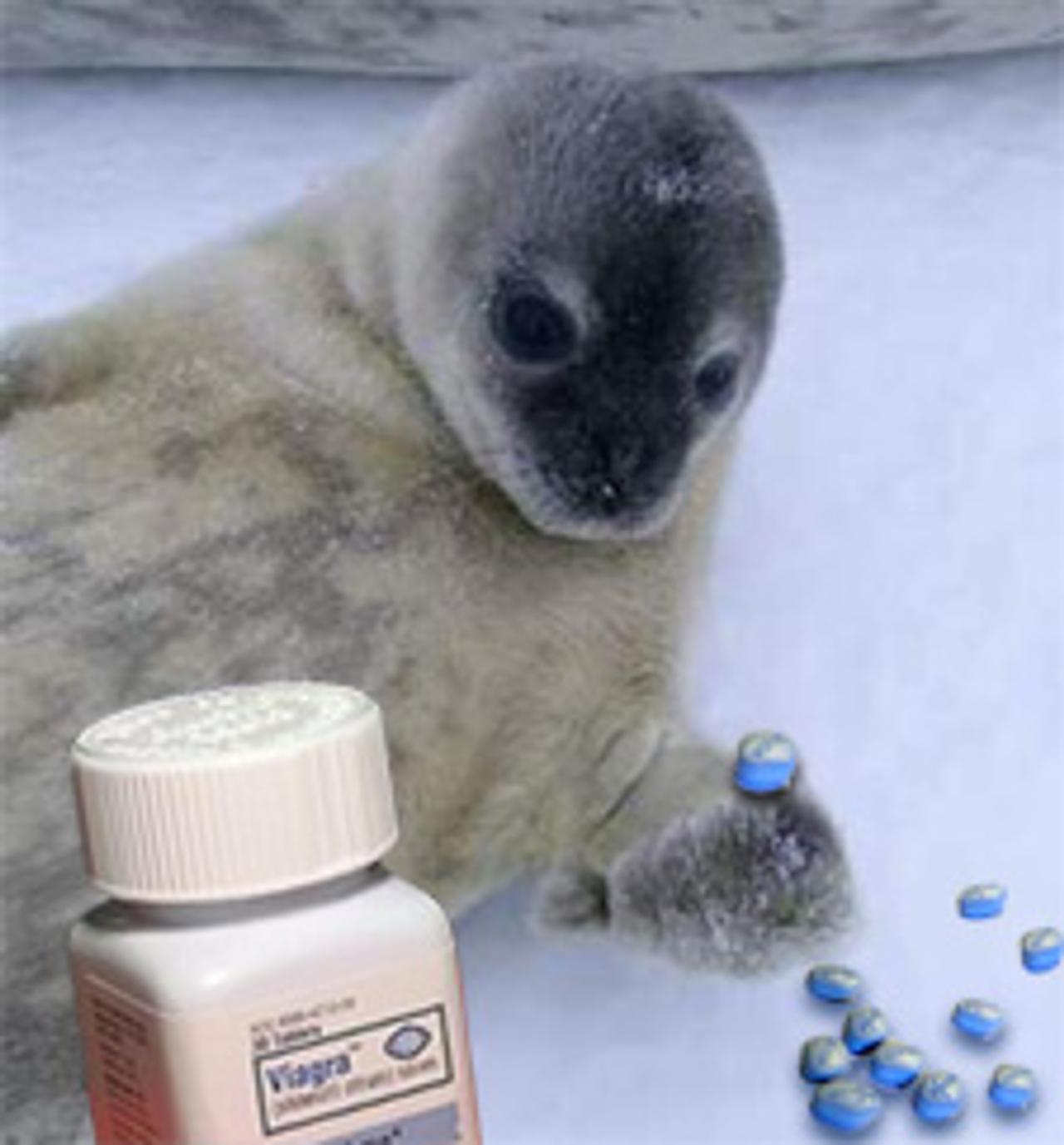 Viagra en ligne angleterre
