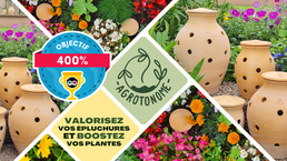 Zolpidem compra online